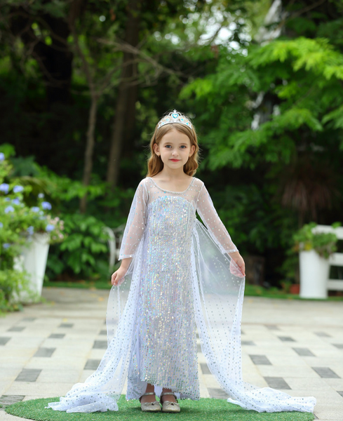 Frozen II Silver Costume Dress