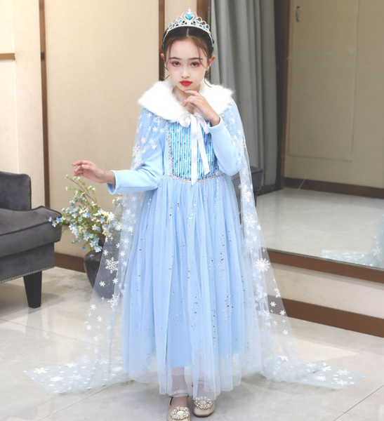 Frozen Winter Costume Dress